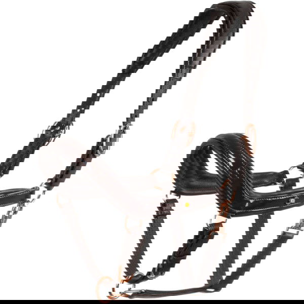 Equestro Halfter Polished, Lederhalfter