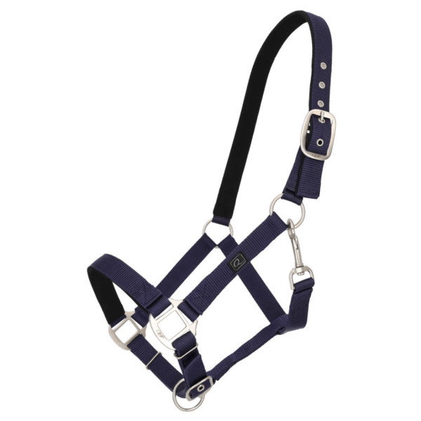 QHP Halfter, Nylonhalfter, mit Polsterung