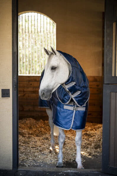 Horseware Stalldecke Amigo Ripstop Insulator Plus Stable, 200 g, mit abnehmbarem Halsteil