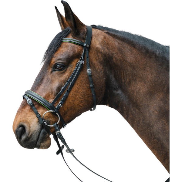 Star Bridle Diamond, English Combined, with Reins