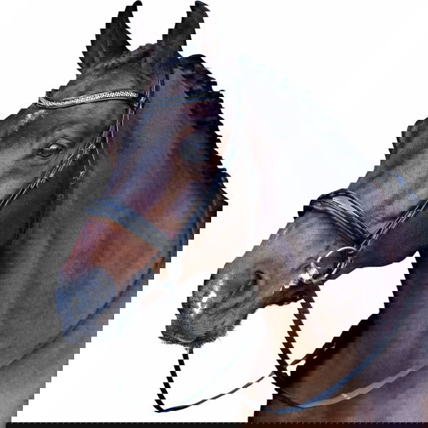 Imperial Riding Bridle English IRH, English, without Reins