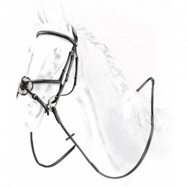 Equiline Bridle with Mexican Caveson BJ103