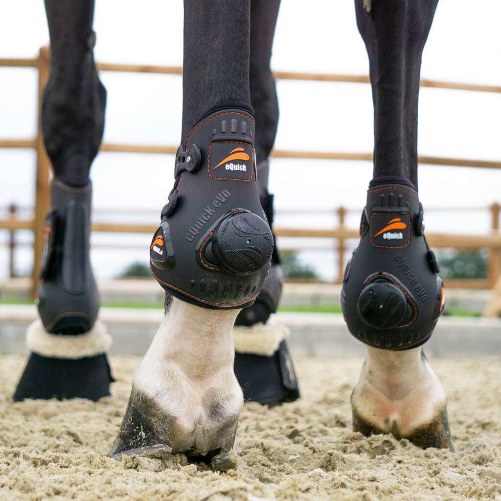 Pony jumping boots 2025