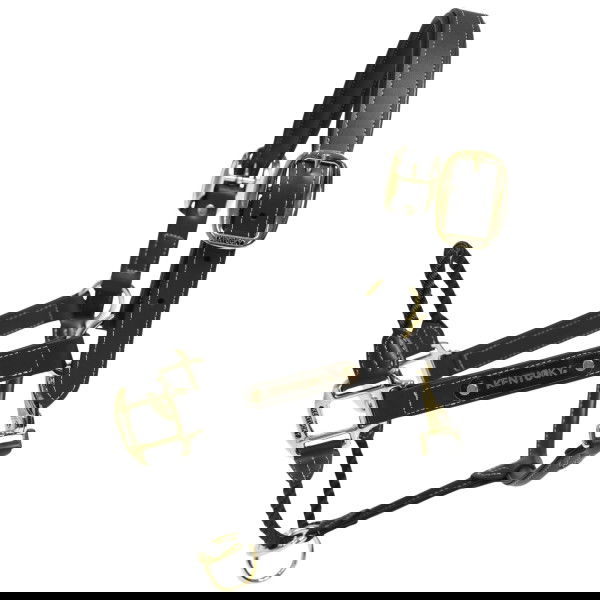 Kentucky Horsewear Halfter Rope, Kunstlederhalfter