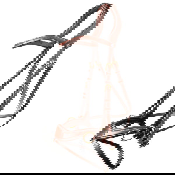 Trust Bridle Falsterbo T-Motion, English combined, 5-in-1, Sidepull, Crosspull, without reins