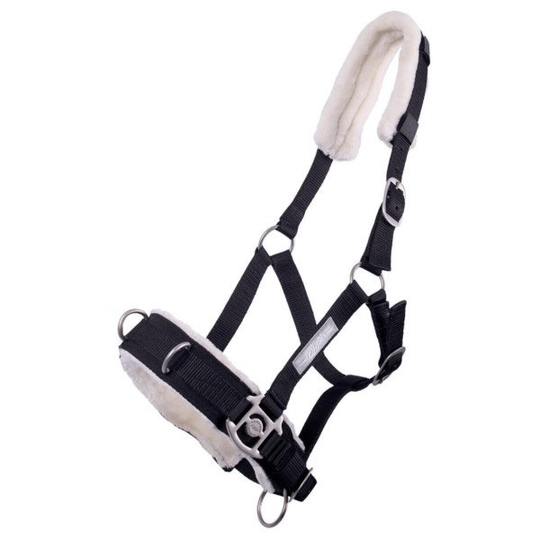 QHP Cavesson, Lunging Halter, Nylon