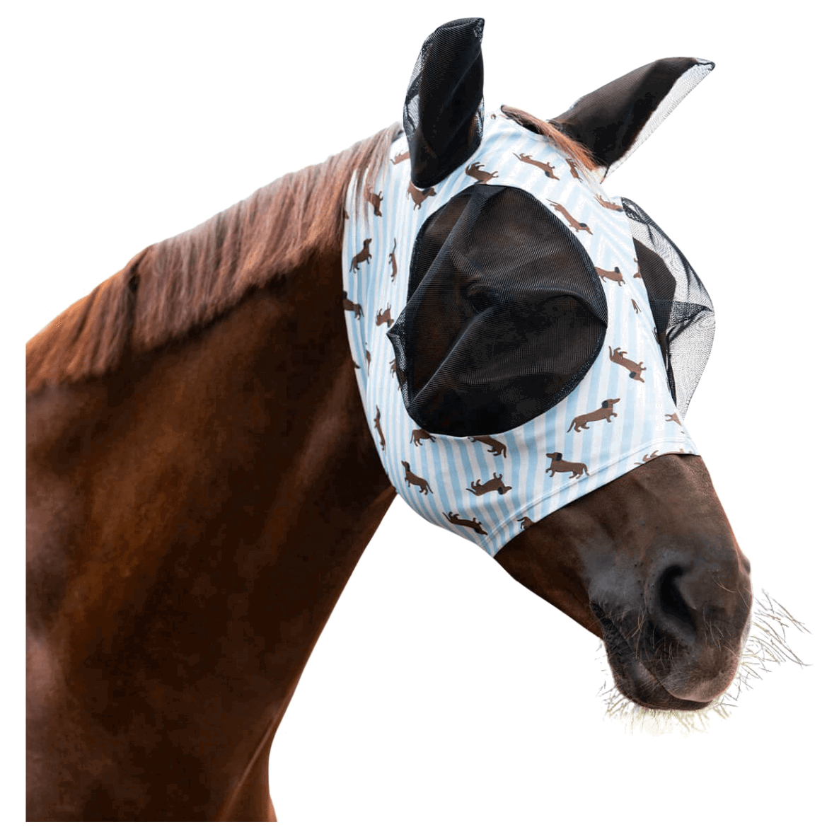 QHP Fliegenschutzmaske Stable Buddy