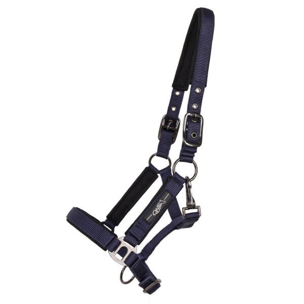 QHP Foal Halter Deluxe, Nylon Halter, Padded