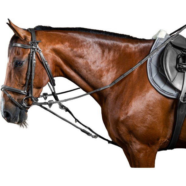 Dyon Hilfszügel Gogue WC, Nylon, Leder