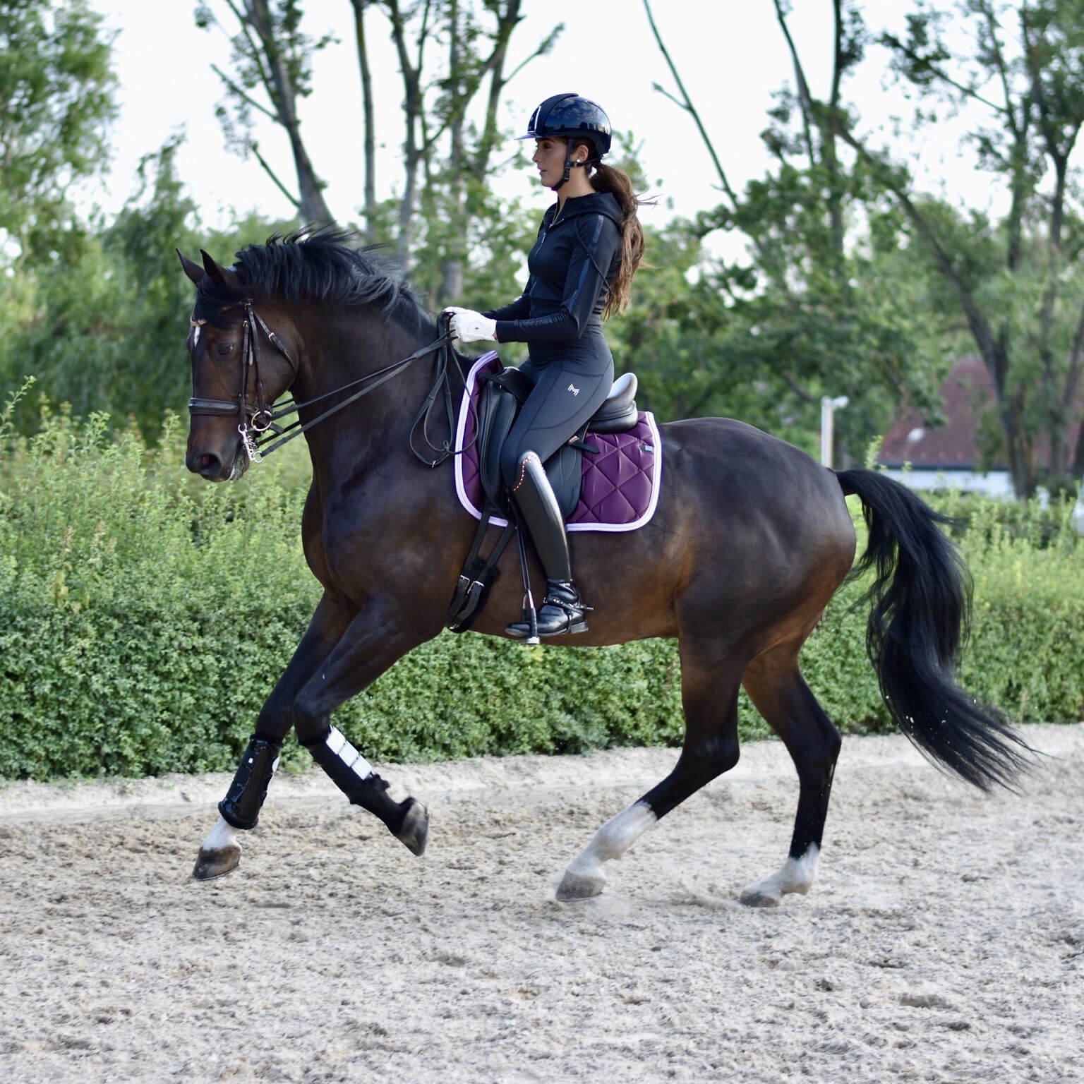Maximilian Equestrian Charcoal Pro Riding Leggings 