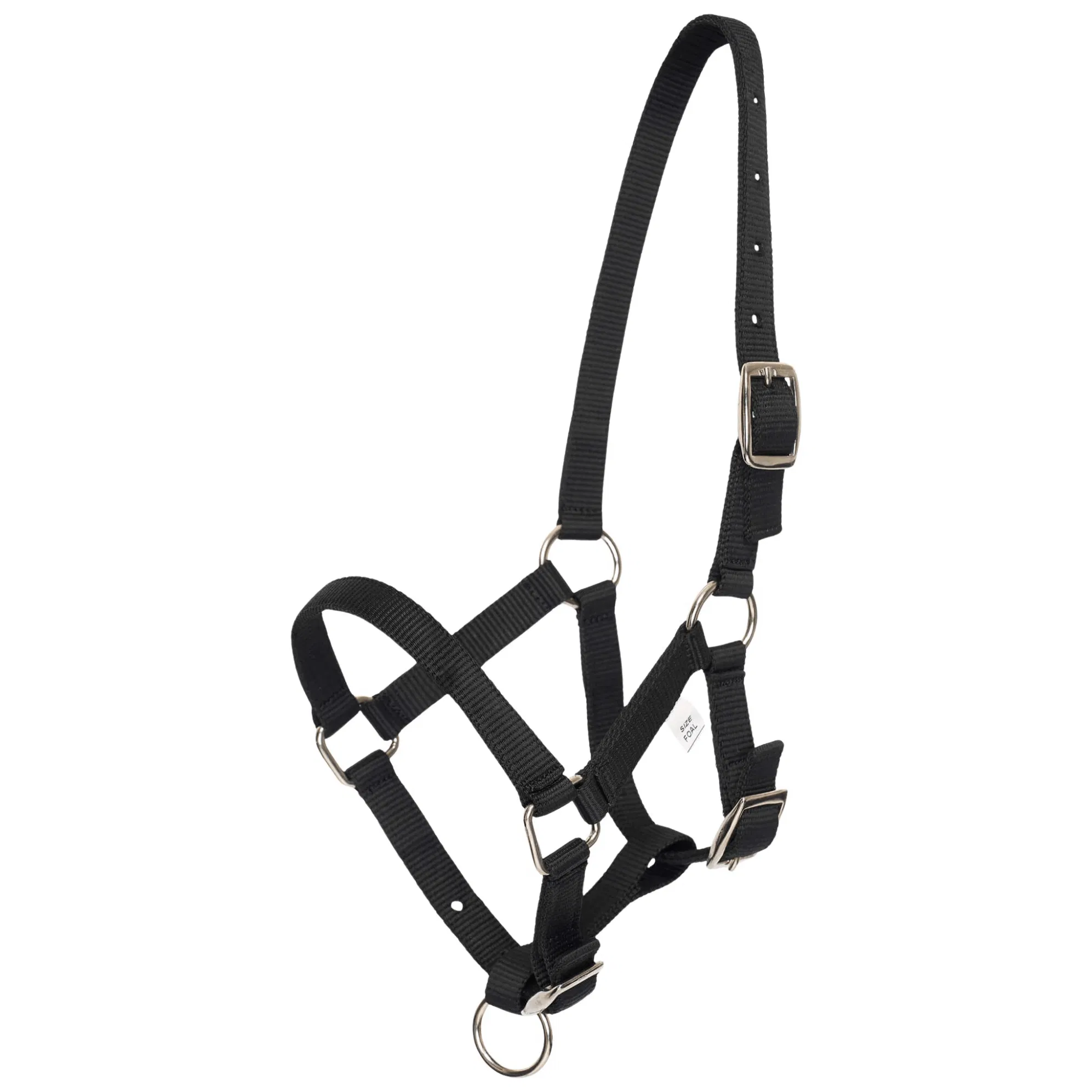 HV Polo Halfter HVPNena Foal, Nylonhalfter, Fohlenhalfter
