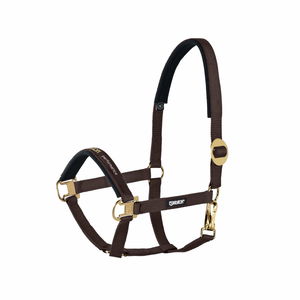 Eskadron Halfter Sliding Buckle Brass, Nylonhalfter, Messingbeschläge Eskadron Halfter Sliding Buckle Brass, Nylonhalfter, Messingbeschläge