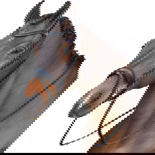 Imperial Riding Bridle English IRH, English, without Reins