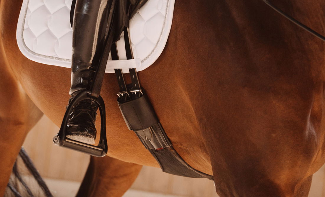 Dressage Girths for your Horse ⇒ FUNDIS Equestrian FUNDIS Equestrian