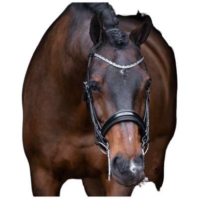 Imperial Riding Double Bridle IRHOlympia, Swedish Combined, without Reins