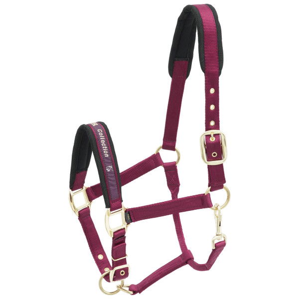 Kieffer Halter Nylon