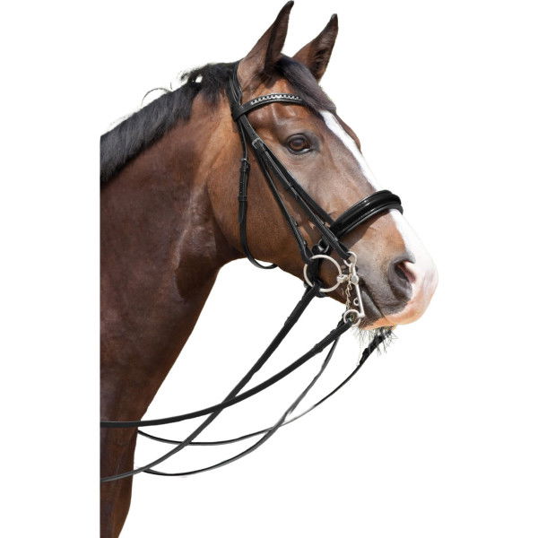 Kieffer Double Bridle Paris, Swedish Noseband, Patent, with Reins