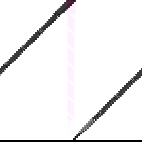 Imperial Riding Dressage Whip IRHRegal Shine