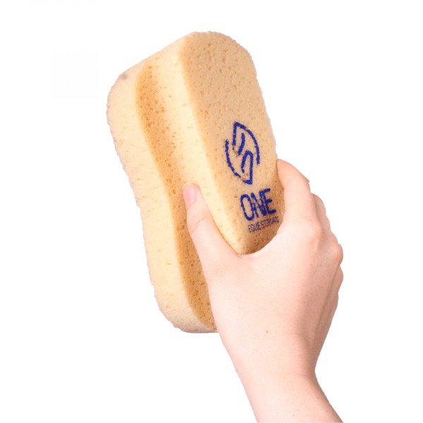 One Equestrian Sponge with Handle