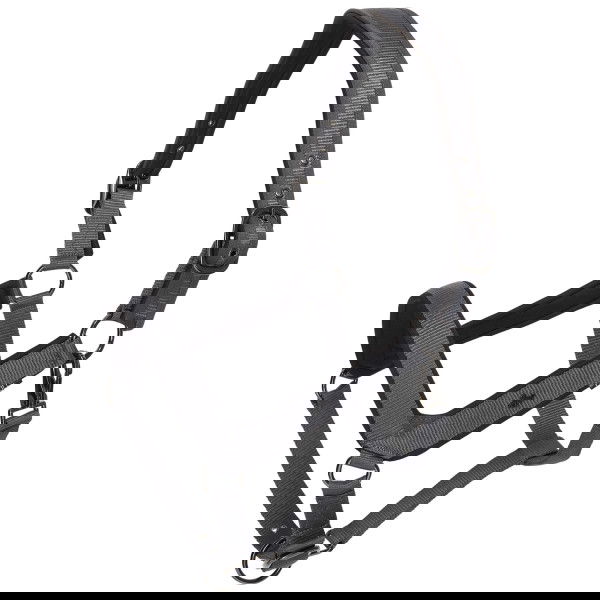 HV Polo Halfter HVPEssential HW25, Nylonhalfter