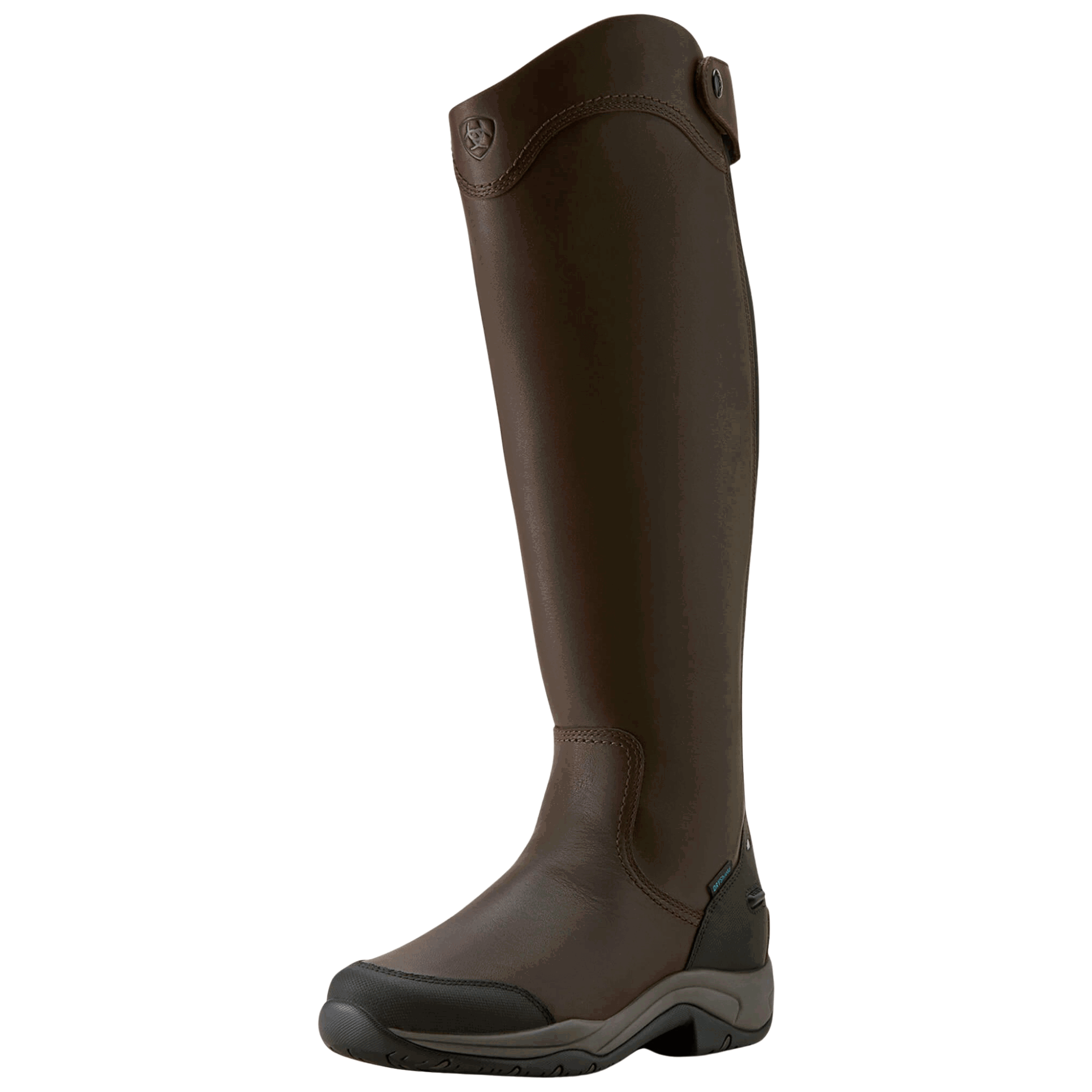 Ariat Stiefel Telluride Tall, Damen, Lederreitstiefel, wasserdicht, Braun