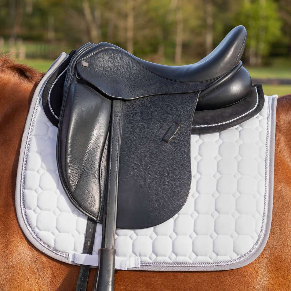 QHP Memory Foam Saddle Pad | FUNDIS Equestrian