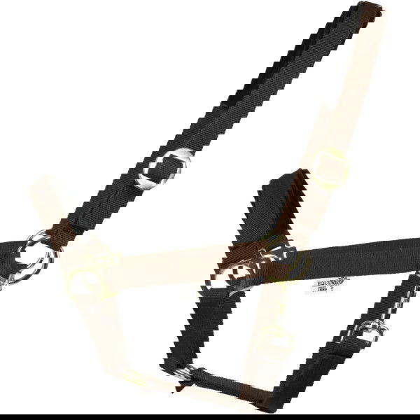 EQUEST Halfter Regular Plus, Nylonhalfter