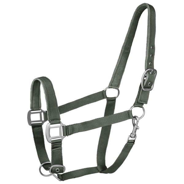 Waldhausen Halter Satin FW24, Perlon Halter