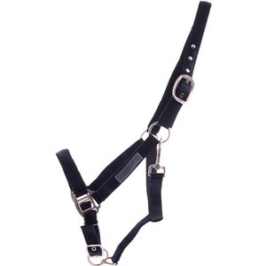 QHP Halfter Unterlegt, Nylonhalfter QHP Halfter Unterlegt, Nylonhalfter