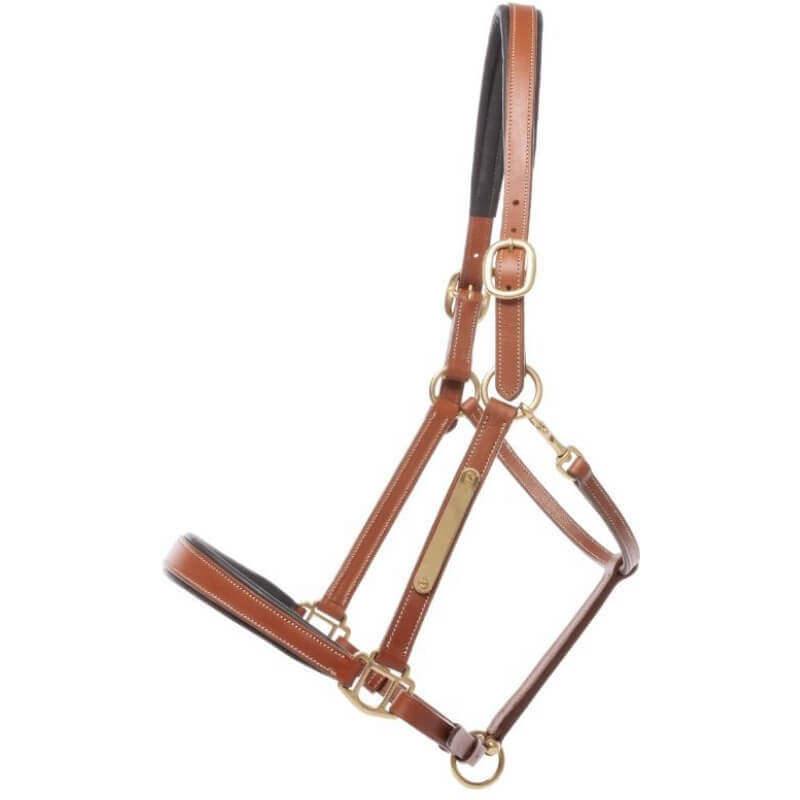 Kavalkade Halfter Bennet, Lederhalfter, mit Gravurplatte