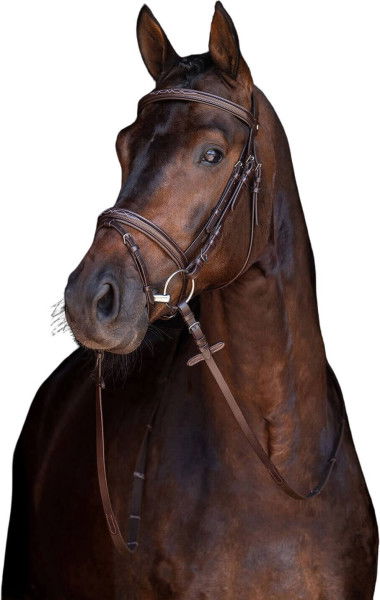 HKM Bridle Jana, english combined, with Reins