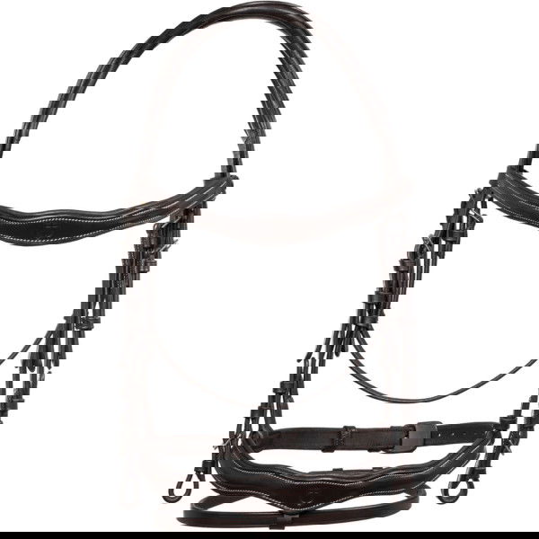 Equestro Bridle Anatomical, English Combined, without Reins