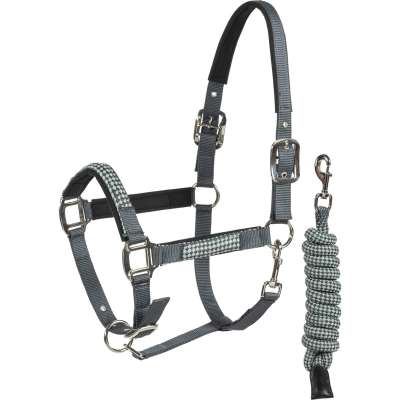 Equiline Halter Elerta SS24, with Lead Rope