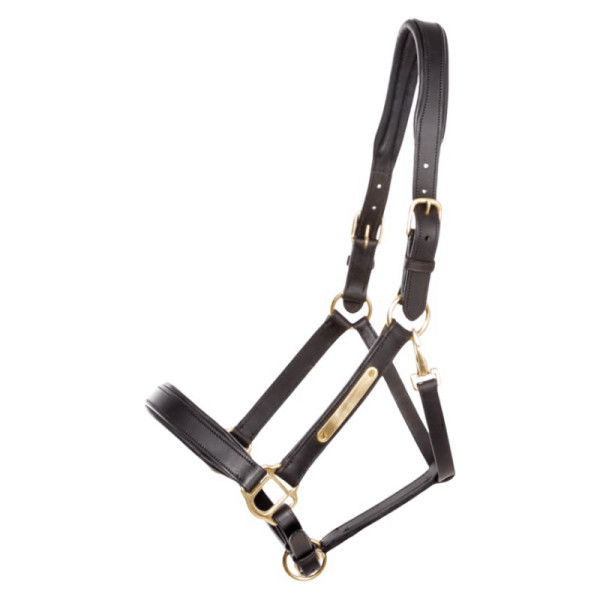 Kavalkade Halter Cinta, Leather Halter