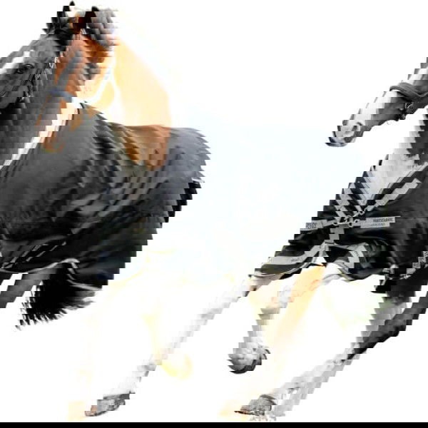 Horseware Outdoor Rug Amigo 1200D XL Turnout, 150 g