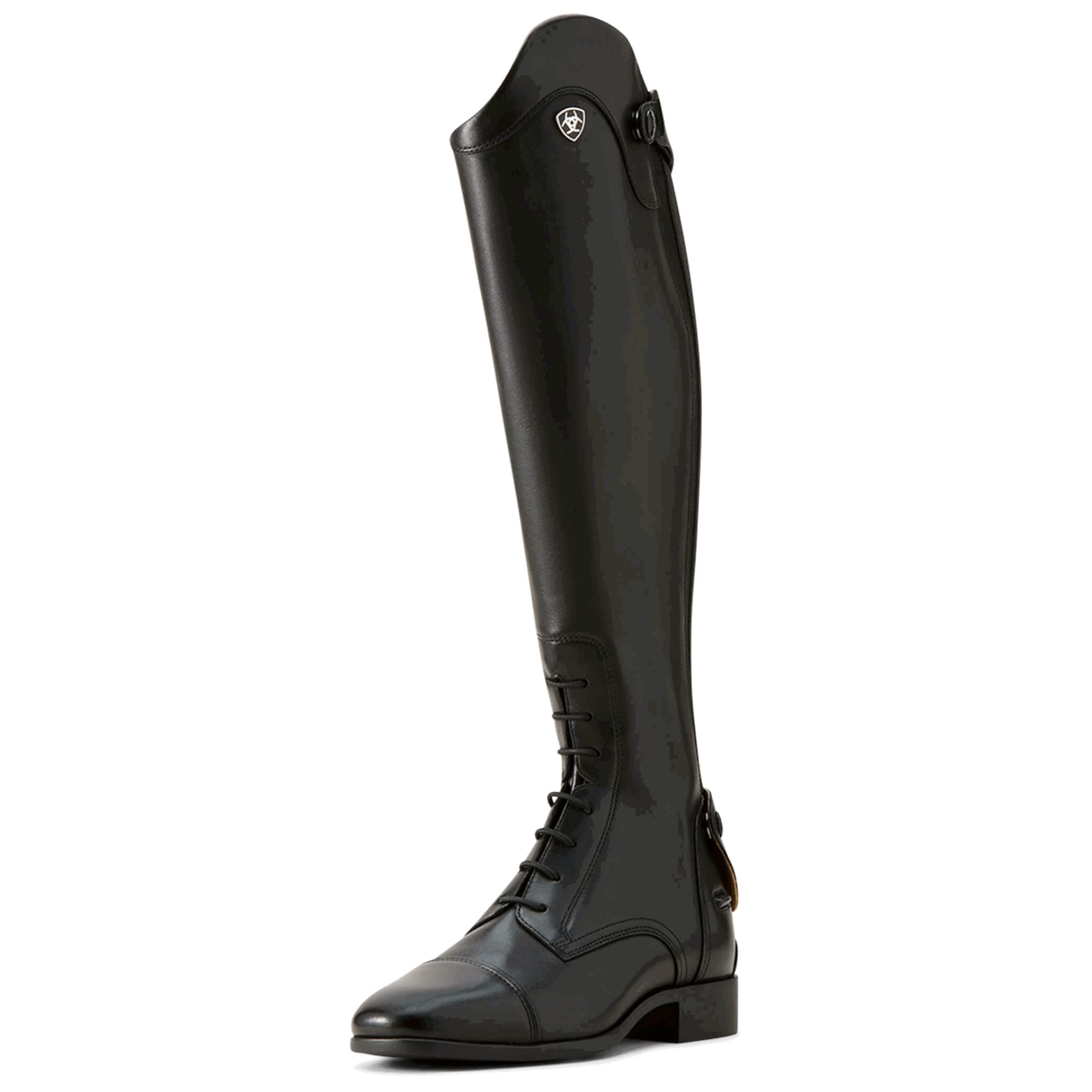 Ariat Damen Lederreitstiefel Palisade Field FUNDIS Reitsport