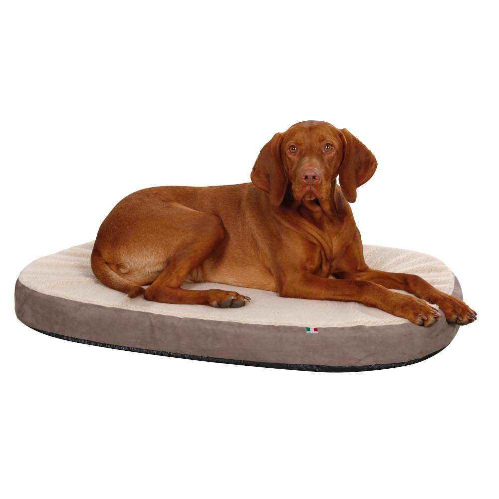 Kerbl Dog Bed Memory Foam Mattress FUNDIS Equestrian