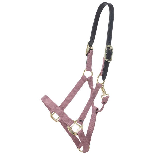 Kentucky Horsewear Halfter Breakaway, Nylonhalfter, mit Sollbruchstelle