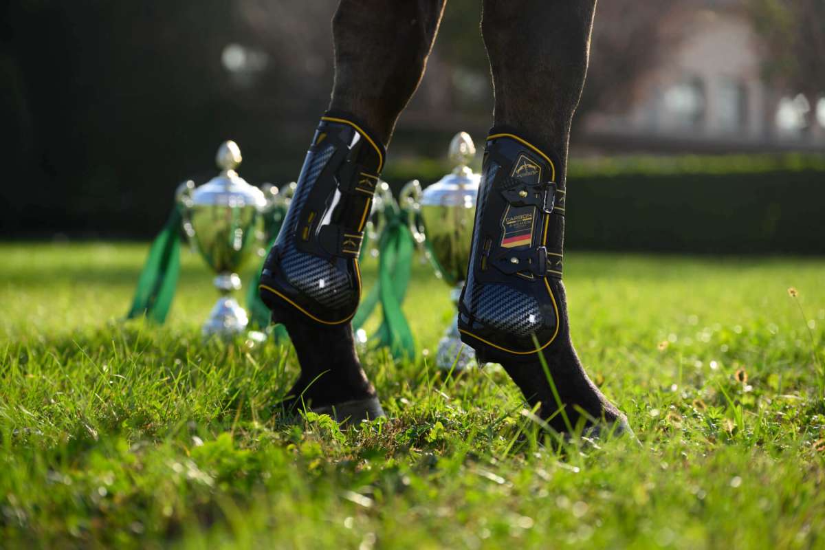 Veredus Tendon Boots Carbon Gel Absolute Aachen Edition | FUNDIS