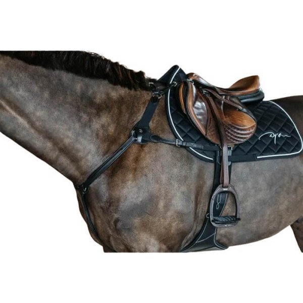Dyon 5-Point Breastplate New English Collection, elastic