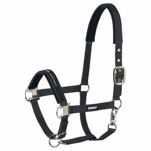 Eskadron Halfter Pin Buckle, Nylonhalfter Eskadron Halfter Pin Buckle, Nylonhalfter