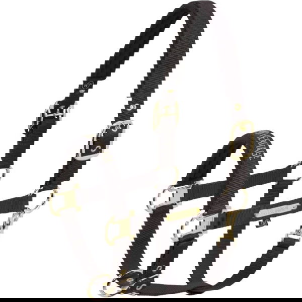 Eskadron Halfter Girth Double Pin Heritage 25/26