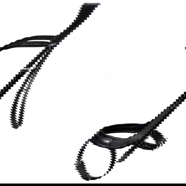 Passier Bridle Marcus Ehning II, English Combined, with more Freedom of the Cheekbone, with Reins