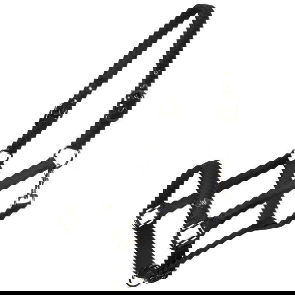 Imperial Riding Halfter IRHRebel, Nylonhalfter