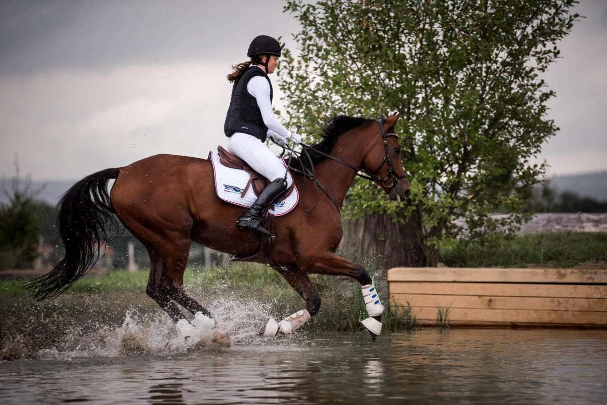 Helite Zip Sicherheitsweste Reiten Airbag Helite Airbag Weste