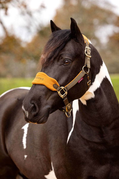 LeMieux Headcollar Vogue FW24, Headcollar Set, with Lead Rope