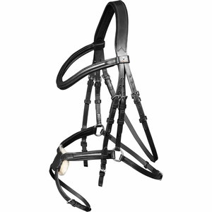 Bride De Cheval Lemieux Arika Grackle - Modèle Neuf - Équitation Confort