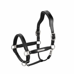 Eskadron Halfter Stallion, Lederhalfter, anatomisch Eskadron Halfter Stallion, Lederhalfter, anatomisch