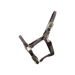 Kentucky Horsewear Halfter Plaited Nylon Kentucky Horsewear Halfter Plaited Nylon
