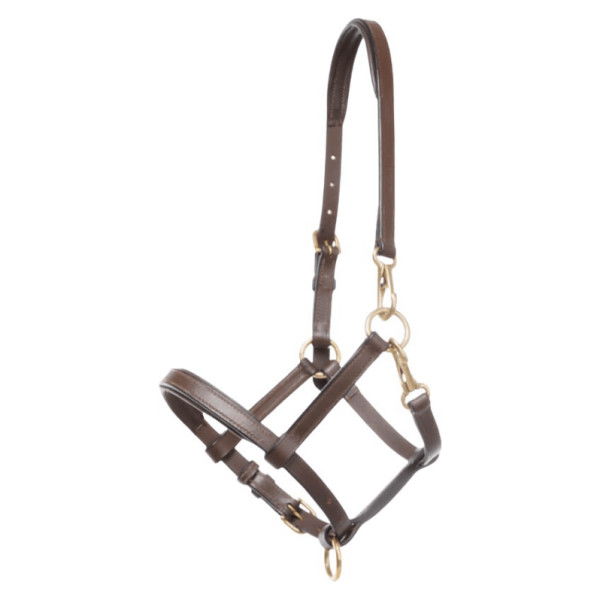 Kavalkade Halter, Foal Halter, Yearling Halter, Leather Halter